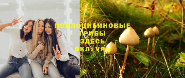 тгк Кулебаки