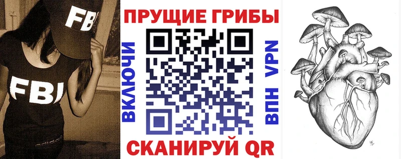 Псилоцибиновые грибы Psilocybe  Купить  Кировград 